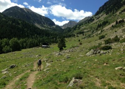 GR10 2014-Jour39- Planes - Mantet