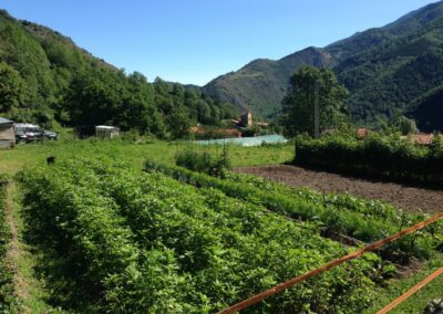 GR10 2014-Jour40 - Mantet - col de Mariailles