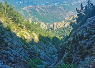GR10 2014-Jour41- col de Mariailles - gîte de Batere