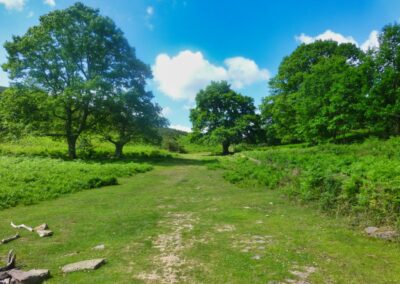 GR10 2014-Jour1 -Hendaye - col des 3 fontaines