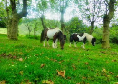 GR10 2014-Jour2 - col des 3 fontaines - col de Zuharreteaco