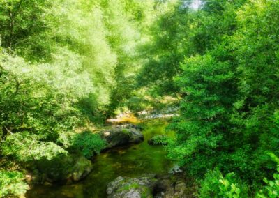 GR10 2014-Jour3 -col de Zuharreteaco - col d'Harrieta