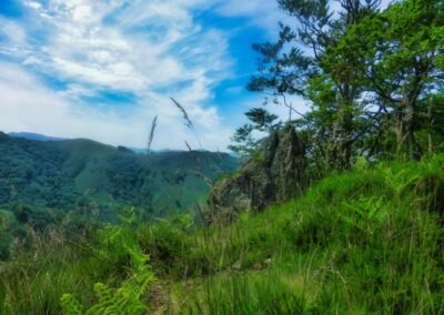 GR10 2014-Jour4 - St Jean Pied de Port - Col d'Irau