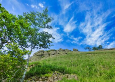 GR10 2014-Jour4 - St Jean Pied de Port - Col d'Irau