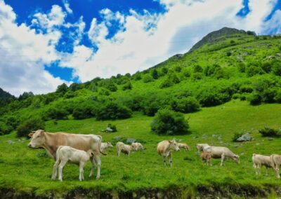 alentour arrens marsous