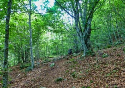 GR10 2014-Jour17 - Luz St Sauveur - Cabane Aygues Cluses