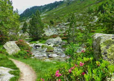 GR10 2014-Jour17 - Luz St Sauveur - Cabane Aygues Cluses