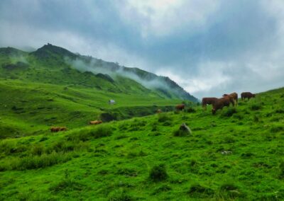 GR10 2014-Jour20 - Germ - refuge d'Espingo