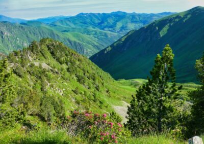 GR10 2014-Jour21- refuge d'Espingo - Bagnères de Luchon