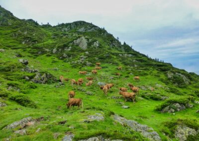 GR10 2014-Jour28- Cabane du Taus - Gite d'Aunac