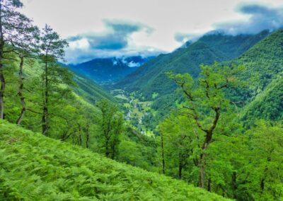 GR10 2014-Jour29- Gite d'Aunac - St Lizier d'Ustou