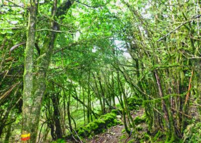 GR10 2014-Jour29- Gite d'Aunac - St Lizier d'Ustou