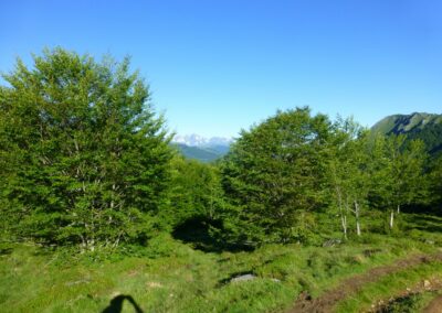 GR10 2014-Jour32 - Aulus - Hameau de Mounicou