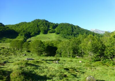 GR10 2014-Jour32 - Aulus - Hameau de Mounicou