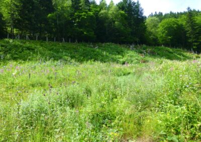 GR10 2014-Jour36 - refuge du Rulhe - Merrens les Vals