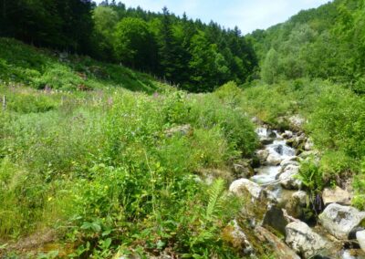 GR10 2014-Jour36 - refuge du Rulhe - Merrens les Vals