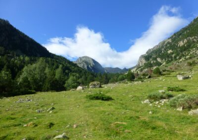 GR10 2014-Jour39- Planes - Mantet