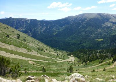 GR10 2014-Jour39- Planes - Mantet