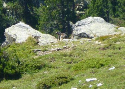 GR10 2014-Jour39- Planes - Mantet